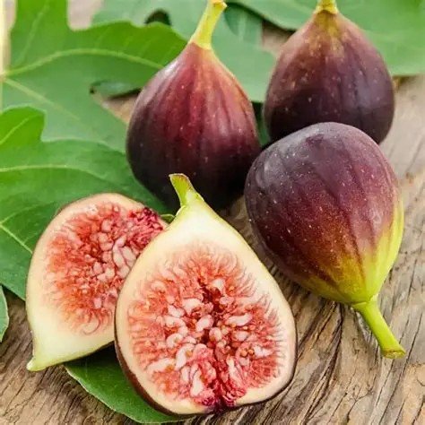Beautiful Brown Turkey Figs